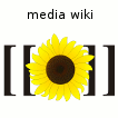 CMS Media Wiki